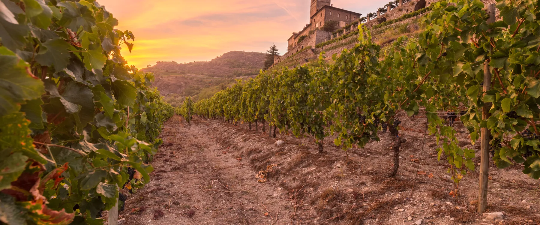 Vigneti in valle d'Aosta
