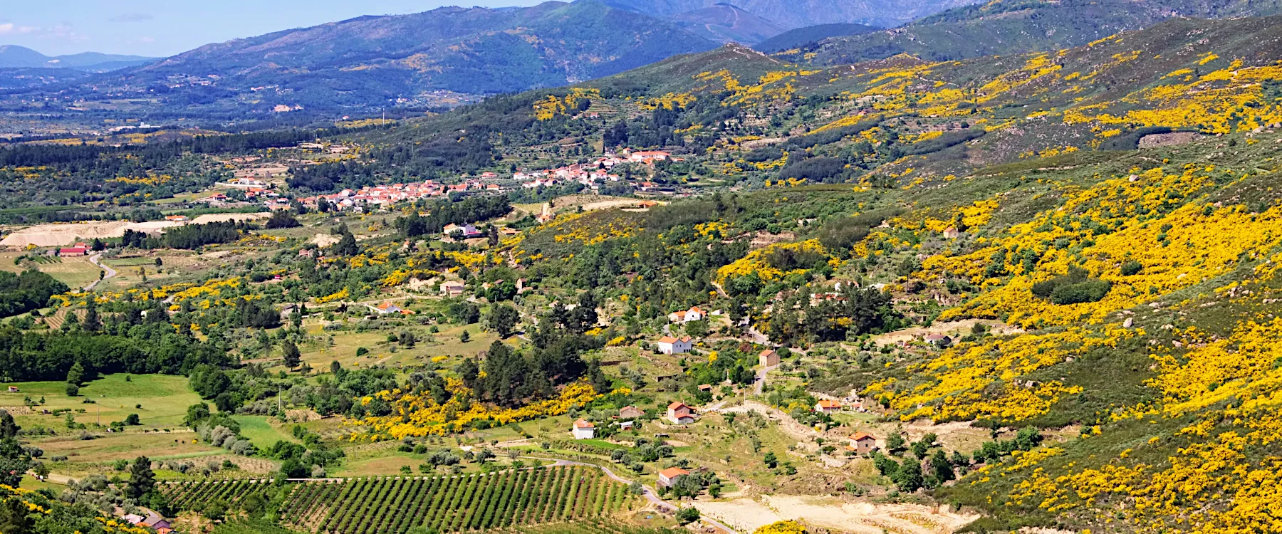 Dão Serra de Estrela