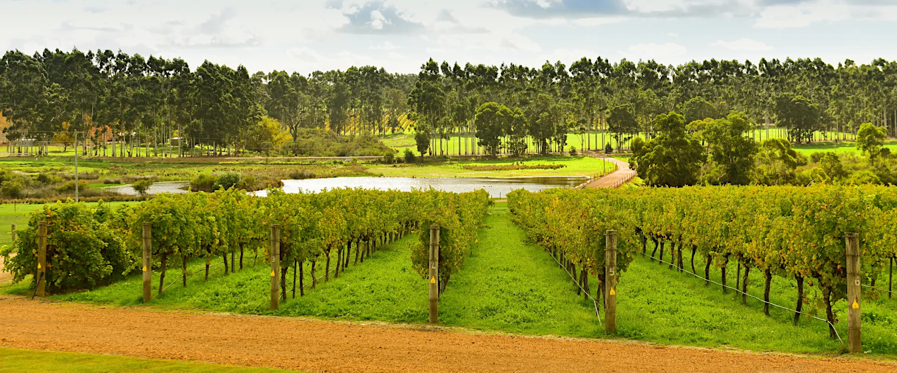 Margaret River Vigneti