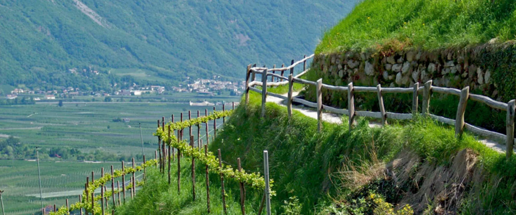 Alto Adige