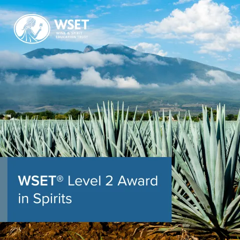 WSET Level 2 Award in Spirits