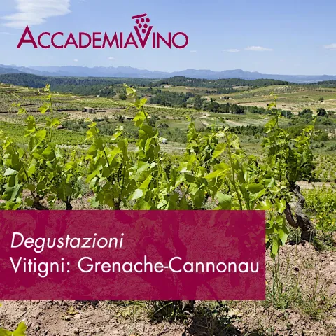 Degustazioni – Vitigni: grenache-cannonau