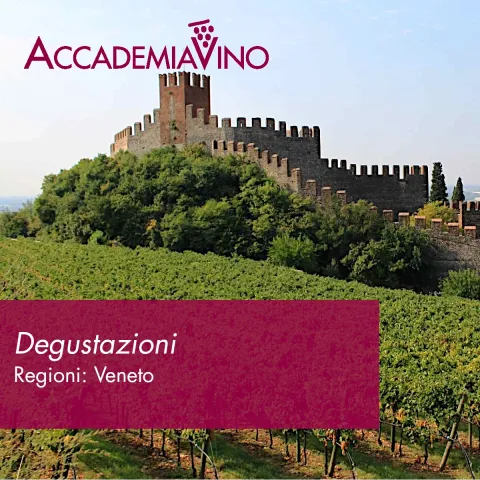 Degustazioni – Regioni: Veneto