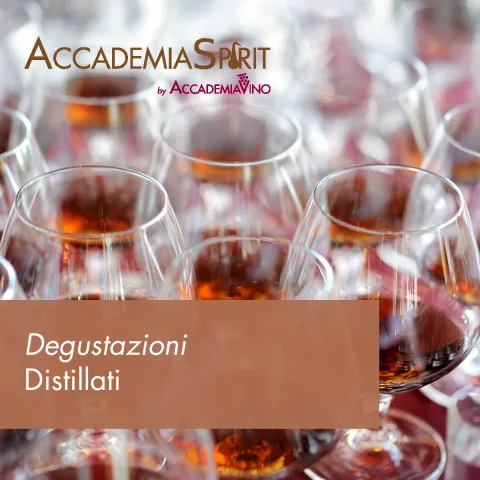 Degustazioni vino – Distillati: grappa