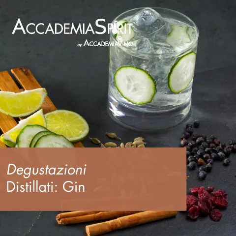 Degustazioni – Distillati: gin
