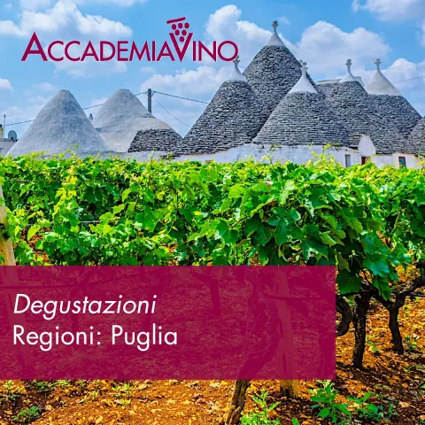 Degustazioni – Regioni: Puglia