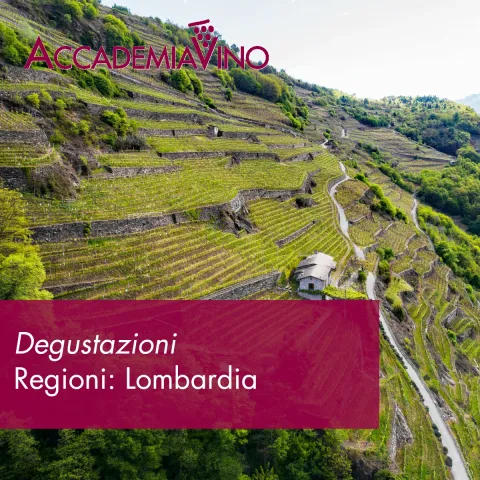 Degustazioni – Regioni: Lombardia