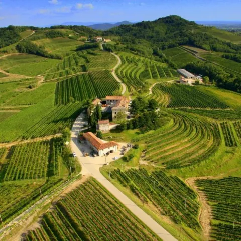 Degustazioni – Regioni: Trentino-Alto Adige e Friuli-Venezia Giulia