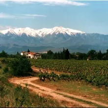 Canigou