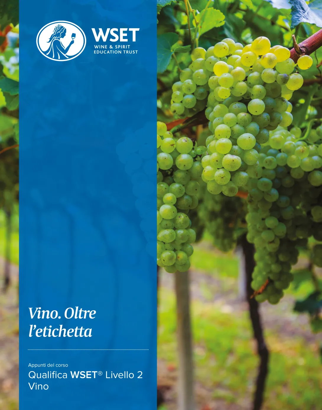 WSET Livello 2 vino, libro di testo